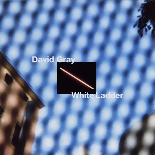 GRAY, DAVID - WHITE LADDERGRAY, DAVID - WHITE LADDER.jpg